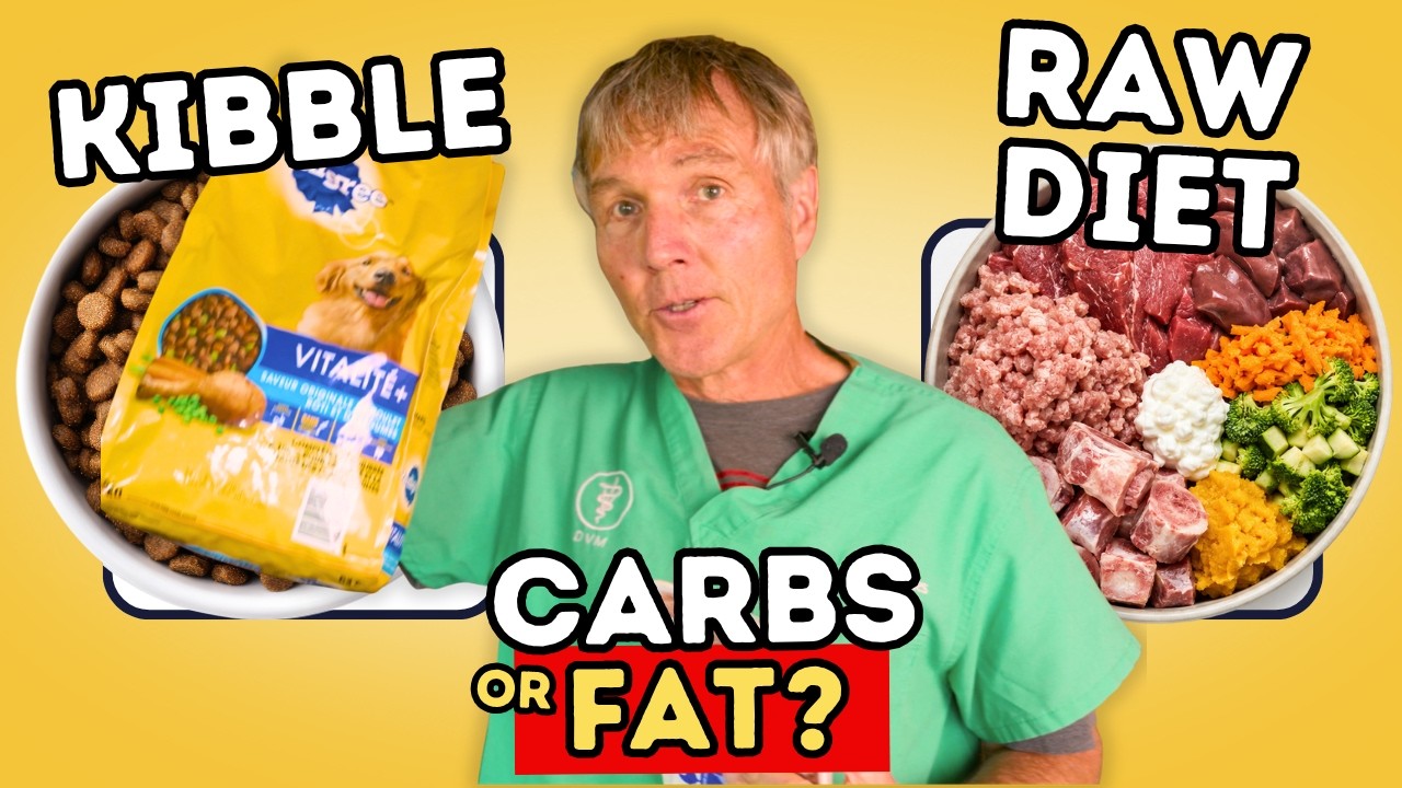 Are Carbs Bad for Dogs? New Research on Kibble, Blood Sugar, and Raw Diets