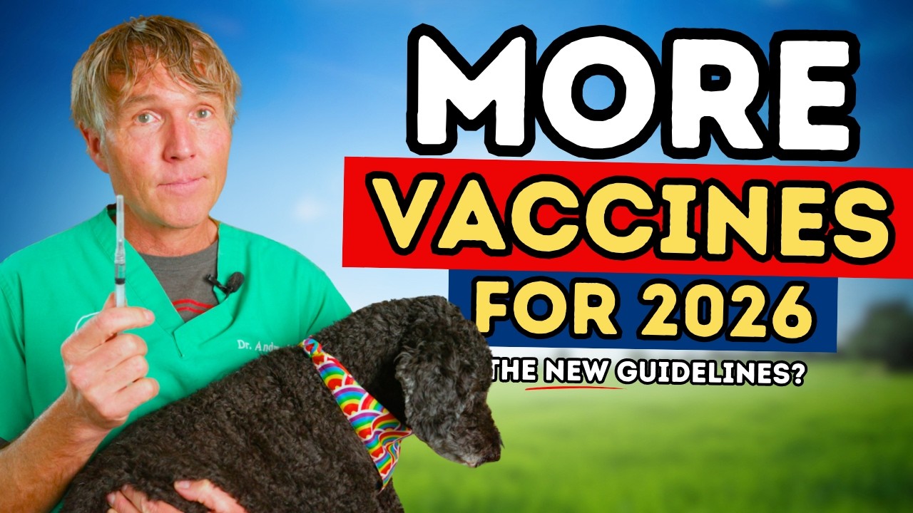 Lepto Vaccine for Dogs: Does Your Dog Really Need It?
