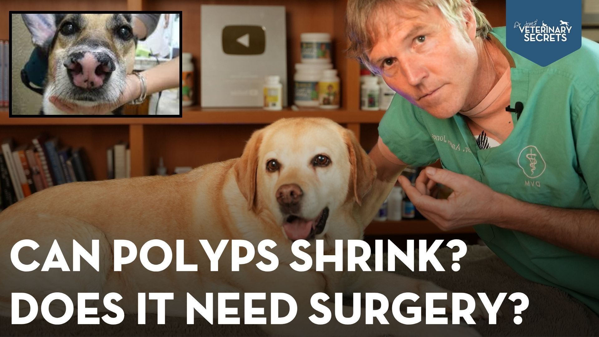 Polyps in Dogs and Cats: Causes, Symptoms, and 8 Natural Remedies That May Help