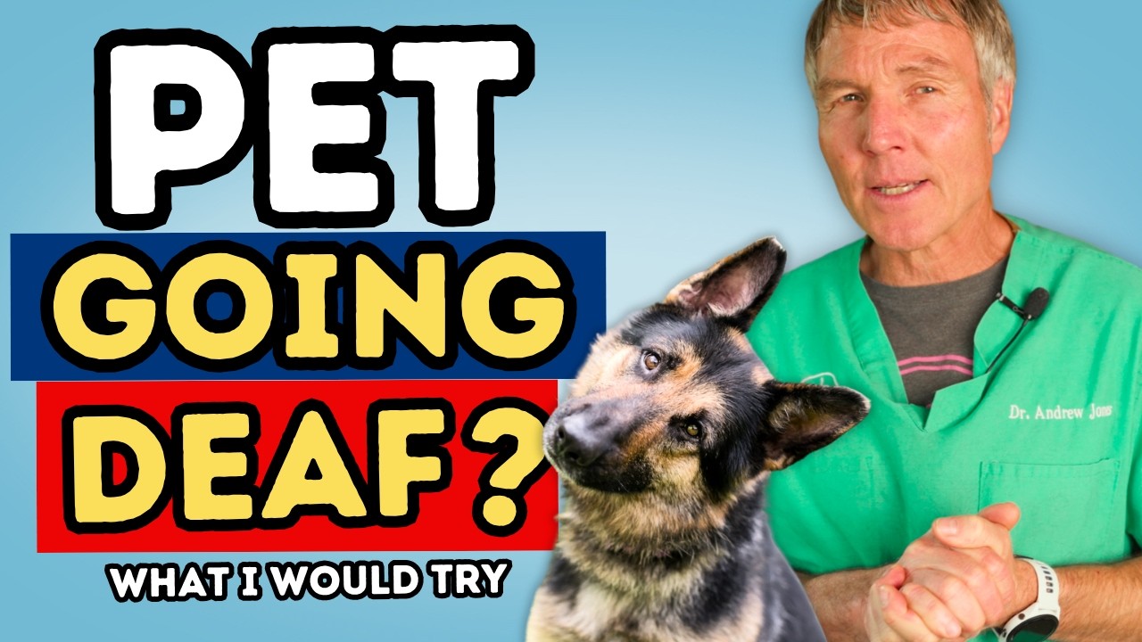 Dog Going Deaf? These Supplements May Help