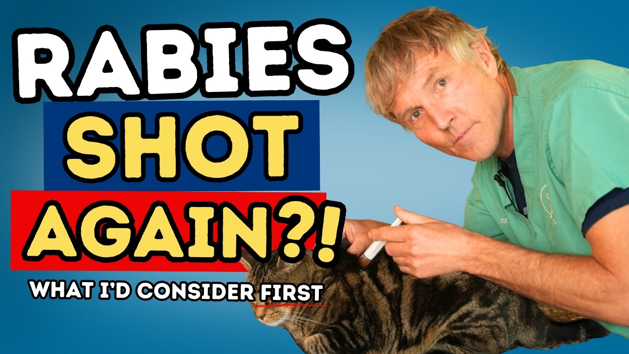 Rabies Vaccine Booster for Dogs and Cats: Is Another Shot Needed?