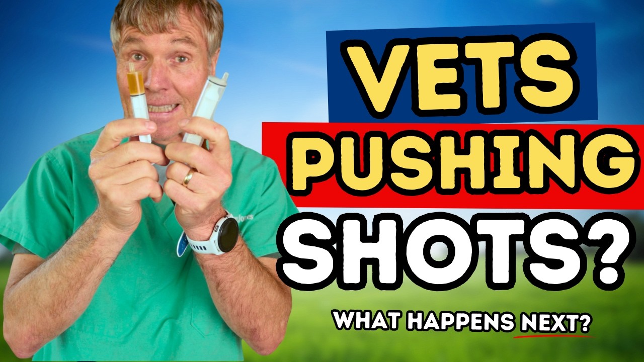Questions to Ask Your Vet About Pet Vaccines: 4 Ways